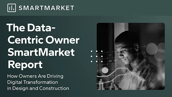 Data Centric Owner